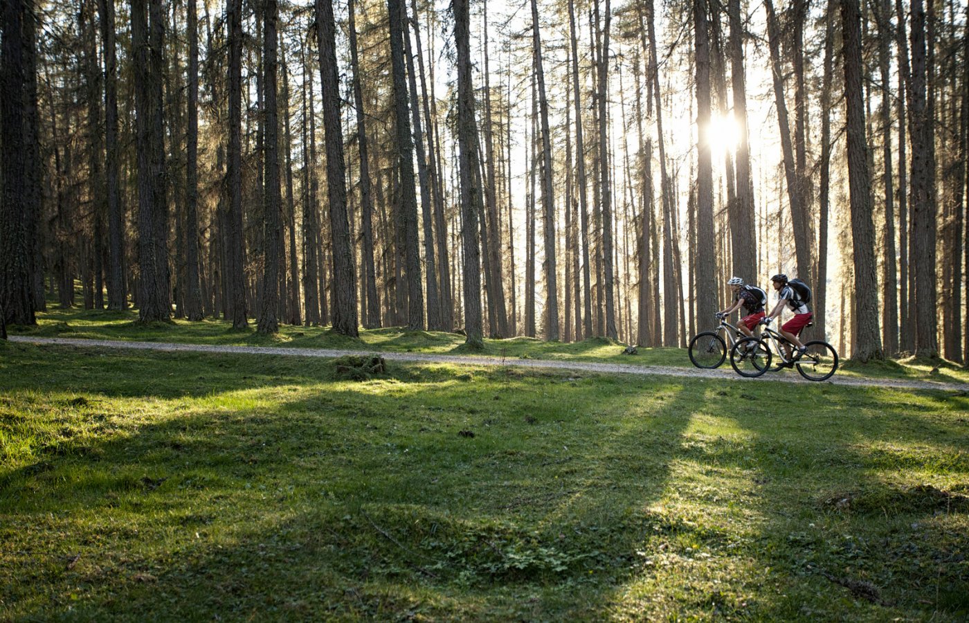 c_tvb_tiroler_zugspitzarena_mountainbike_auffahrt_05.jpg