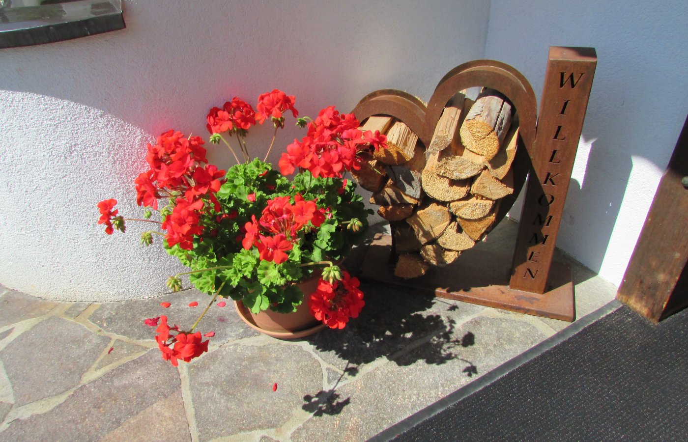 img_2193.jpg img_2193.jpg